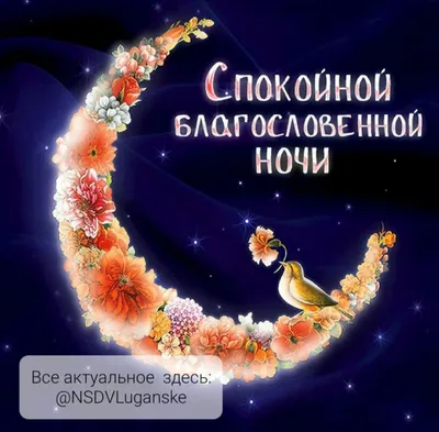 Доброй ночи, Луганск!. Завтра в Луганске небо будет ясным до самого  позднего вечера. Без осадков - Лента новостей Луганска