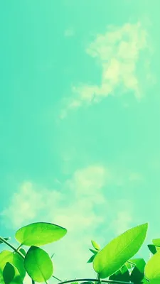 Тропические Листья Бесшовный Узор Нежный Фон В Спокойных Пастельных Тонах —  стоковая векторная графика и другие изображения на тему Бежевый - iStock