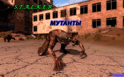 В сеть утекли концепт-арты мутантов «Сталкера 2» - Игры - Cyber.Sports.ru