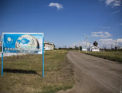 В Казахстане предложили разработать нацпроект по созданию степных  резерватов | Inbusiness.kz