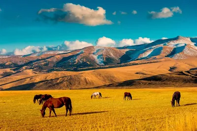 Красивые степи Казахстана | Almaty | Facebook