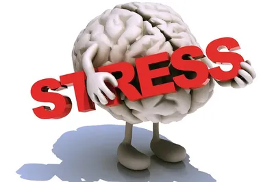 Как контролировать стресс в ответственной ситуации?