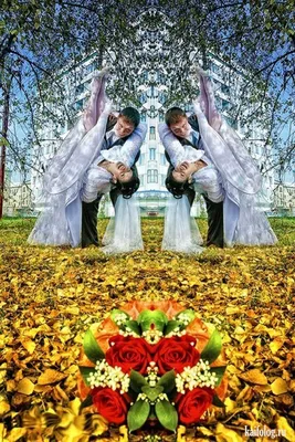 Уроки по Photoshop и фотосъемке | HIGHLIGHTS | Пляжные свадебные  фотографии, Христианская свадьба, Свадебные позы