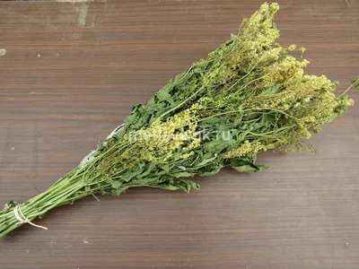 Таволга, травяной набор для бани по выгодной цене от производителя