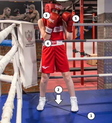 Основы техники бокса — Спортмастер Медиа