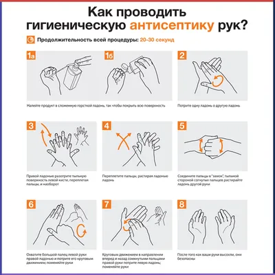 Мытье рук, использование антисептика: как правильно