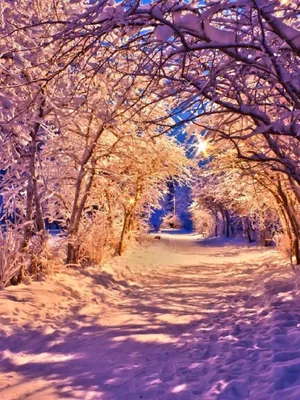 Красивые зимние обои для мобильного телефона изображение_Фото номер  400799030_JPG Формат изображения_ru.lovepik.com