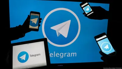 10 Telegram-каналов о политике, которым можно доверять – DW – 26.02.2019