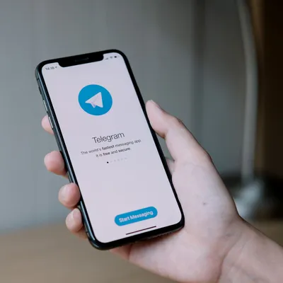 Выпущена официальная версия Telegram под Android без ограничений на  пиратский контент