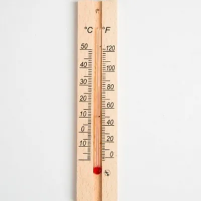 Термометр универсальный 3,5х22 см купить недорого в интернет-магазине  товаров для сада Бауцентр