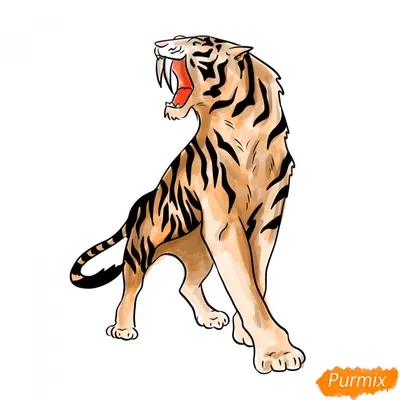 Рисуем тигра акварелью - Краски - Фотоуроки - Искусство рисования-пошаговое  руководство