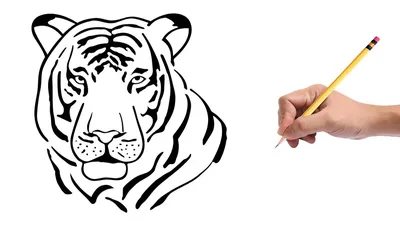 Раскраски мультяшная морда тигра (45 фото) » Картинки, раскраски и  трафареты для всех - Klev.CLUB