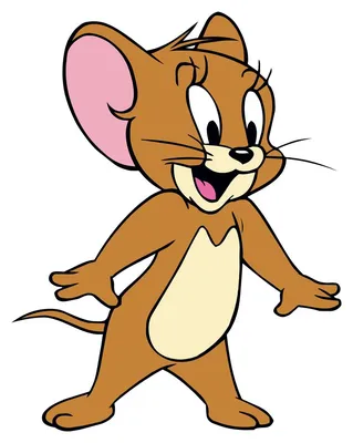 Том Кот Том и Джерри Рисование мультфильма Том и Джерри, млекопитающее,  герои, кошка png | Klipartz