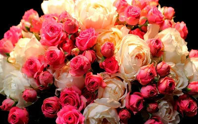 Скачать обои фото, Много, Цветы, Розы, Букет, раздел цветы в разрешении  1440x900 | Букет цветов, Розы, Букет
