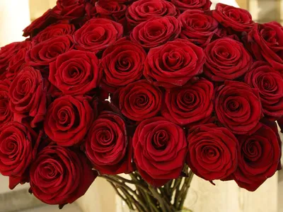 Скачать 3840x2400 розы, розовый, цветы, букет, лепестки обои, картинки 4k  ultra hd 16:10