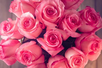 Картинки цветы розы красные красивые (70 фото) » Картинки и статусы про  окружающий мир вокруг