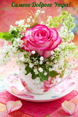 Скачать 1920x1080 розы, цветы, букет, розовый, коралловый, подарок,  романтичный обои, картинки full hd, hdtv, fhd, 1080p