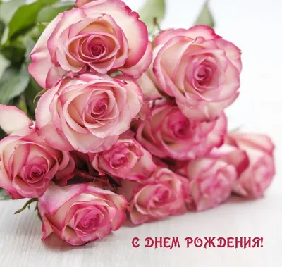 Картинки цветы красивые розы женщине (67 фото) » Картинки и статусы про  окружающий мир вокруг