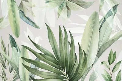 Фотообои Тропические растения на стену. Купить фотообои Тропические  растения в интернет-магазине WallArt