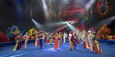 Московский Цирк Никулина, Москва - «Цирк на Цветном бульваре. Где лучшие  места. Схема зала с фото.» | отзывы