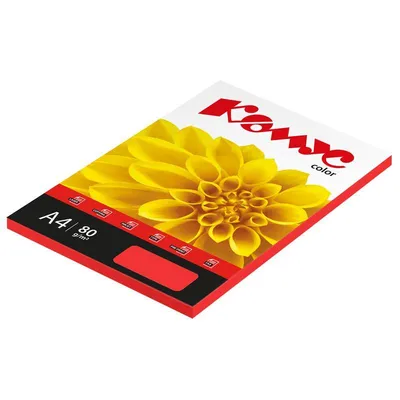 Цветная бумага для принтера А4 5 Неоновых цветов 50 листов для офисной  техники и детского творчества - купить с доставкой по выгодным ценам в  интернет-магазине OZON (828189267)