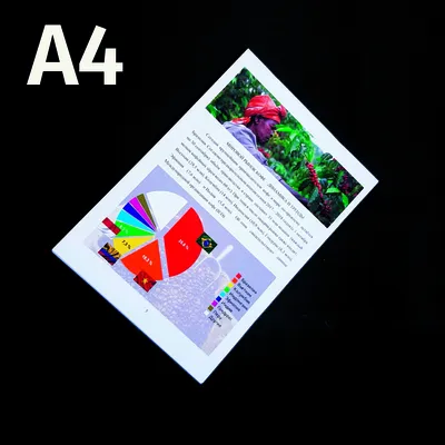Бумага цветная А4 для принтера яркие цвета 100 л InФормат 15712720 купить  за 229 ₽ в интернет-магазине Wildberries