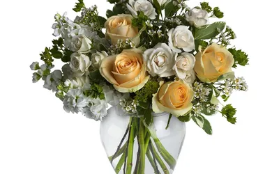 Красноцветающая апония без фона Стоковое Изображение - изображение  насчитывающей флористическо, цветок: 159215865