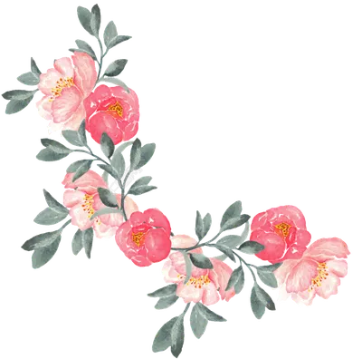 Beautiful Flower On A Transparent Background - Цветы Весенние Без Фона -  (1024x564) Png Clipart Download