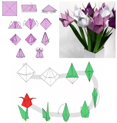 Мастер-класс по изготовлению объемного цветка из офисной бумаги в технике 3  D оригами (20 фото). Воспитателям детских садов, школьным учителям и  педагогам - Маам.ру