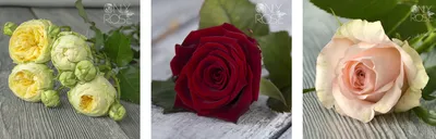 Значение цветов в свадебном букете: ТОП-10 альтернатив розам - eventforme.ru