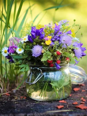 Летние цветы, или какие цветы дарить летом - большой список летних цветов -  AnnetFlowers