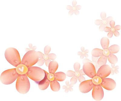 солнечный цветок подсолнух на прозрачном фоне в дополнительном файле Png  Стоковое Фото - изображение насчитывающей карточка, цветы: 224302836