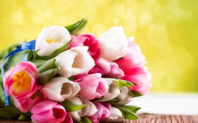 Букет Тюльпаны 51шт Сорт на выбор Цветы на 8 марта купить в  интернет-магазине Ярмарка Мастеров по цене 7140 ₽ – KOTG8BY | Подарки на 8  марта, Москва - доставка по России