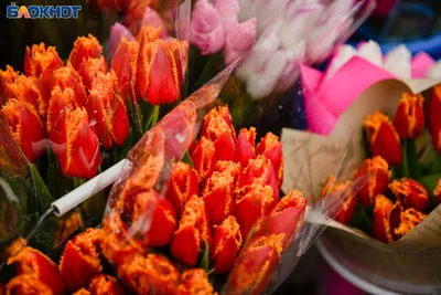 Букет с мимозой и тюльпанами \"8 МАРТА\" купить недорого с доставкой по Москве