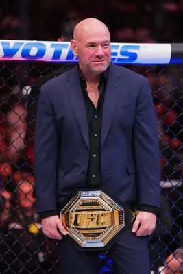 UFC 295, missing Jon Jones' star power, elevates light heavyweight title  bout – Orange County Register