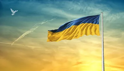 В Европе рассказали, сколько Украина выполнила требований для вступления в  ЕС - Газета.Ru | Новости