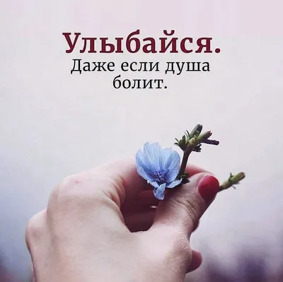 Виниловая наклейка Люби, живи, улыбайся (на русском языке) - Купить  декоративные наклейки на стены недорого в Украине, отзывы