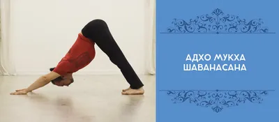 Йога для развития гибкости - Лайфхакер