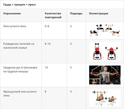 Программа тренировок в тренажёрном зале для мужчин – Онлайн-журнал Льва  Гончарова о ЗОЖ и вредных привычках.