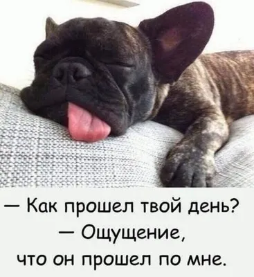 Черный Юмор - Черный Юмор added a new photo.