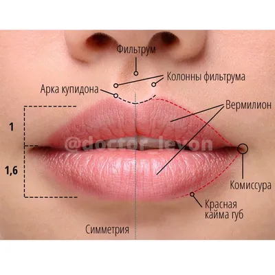 Пластика губ, увеличение губ в Симферополе в клинике Dalwin. Цены и  рекомендации на сайте