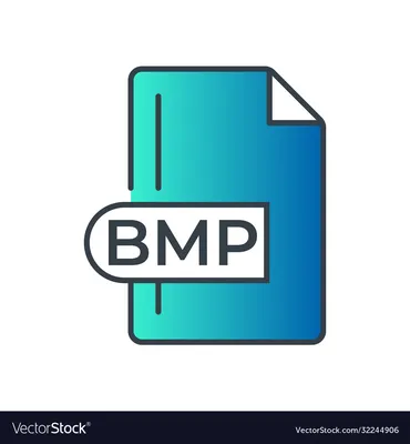 Bmp file format extension color line icon Vector Image