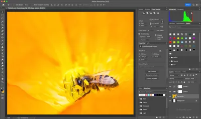 How to Save a Photoshop File as A Vector - Click The Photo