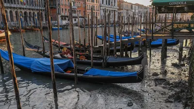 Переехали: Как устроена жизнь в Венеции?