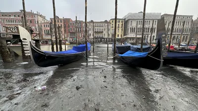 Венеция оказалась под угрозой затопления: Климат и экология: Среда  обитания: Lenta.ru