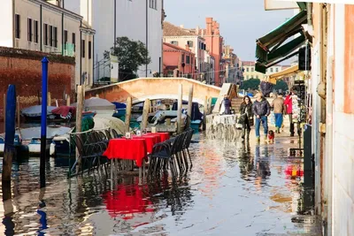 Гид по Венеции: что есть, где пить и какие достопримечательности посетить