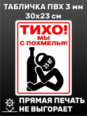 Табличка информационная \"Тихо! Мы с похмелья!\" 30х23 см — купить в  интернет-магазине по низкой цене на Яндекс Маркете