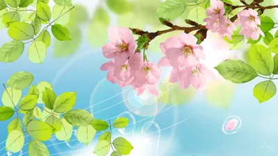 spring #nature #plants #april #photo #new #природа #растение #апрель #новое  #весна #персик #обои | Весенние фотографии, Растения, Природа