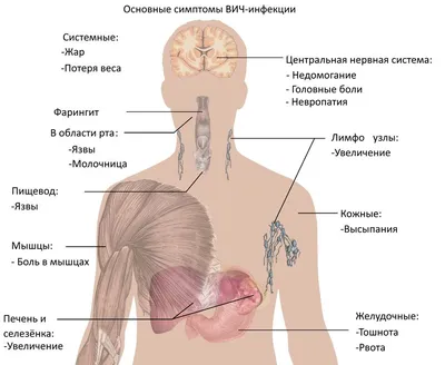 ᐈ ЭКО для ВИЧ-инфицированных в СПб - клиника репродукции ICLINIC