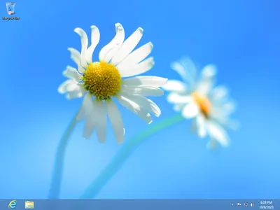 Windows 8 - BetaWiki